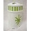 VASO CEPILLOS BAÑO RAYAS SIMBOLO VERDE