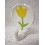 PERCHA COLGADOR ADHESIVA TULIPAN AMARILLO