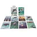 JUEGO 8 POSTALES BLISTER DELFINES SURTIDO