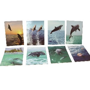 POSTAL SENCILLA DELFINES SURTIDA