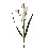 RAMA FLOR VIOLETAS HOJAS LARGAS