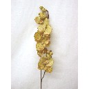FLOR INDIVIDUAL ORQUIDEA BEIGE VERDE