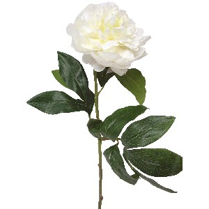 FLOR INDIVIDUAL PEONIA BLANCA