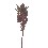 FLOR INDIVIDUAL EUCOMIS MARRON