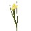 FLOR INDIVIDUAL HOJAS IRIS AMARILLO