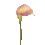 FLOR INDIVIDUAL CALA LILY GRANDE LAVANDA