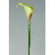 FLOR INDIVIDUAL MINI CALA VERDE