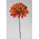 FLOR INDIVIDUAL DALIA MARRON