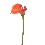 FLOR INDIVIDUAL CALA LILY GRANDE NARANJA