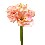 FLOR INDIVIDUAL AMARILYS ROSA