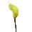 FLOR INDIVIDUAL MINI CALA VERDE