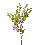 FLOR RAMAS WISTERIA VIOLETA