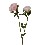 FLOR DOBLE ASTER DAISY VIOLETA