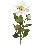 FLOR DOBLE HOJAS DALIA BLANCO