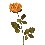 FLOR INDIVIDUAL ROSA BUD FIRESIDE SALMON