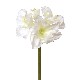 FLOR INDIVIDUAL AMARILYS BLANCO