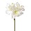 FLOR INDIVIDUAL AMARILYS BLANCO