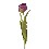 FLOR INDIVIDUAL CAPULLO TULIPAN VIOLETA