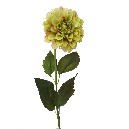 FLOR INDIVIDUAL DALIA VERDE