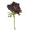 FLOR INDIVIDUAL ANEUNOME MALVA