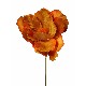 FLOR INDIVIDUAL PAPAVERO MARRON