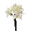 FLOR INDIVIDUAL CYMBIDIUM BLANCO