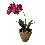 MACETA CON FLOR ORQUIDEA HOJAS FUXIA