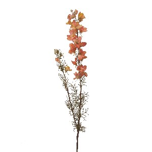 FLOR VARA LARKSPUR SPRAY SALMON