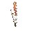 FLOR VARA LARKSPUR SPRAY SALMON