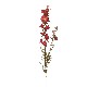 FLOR VARA LARKSPUR SPRAY ROJO