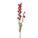 FLOR VARA LARKSPUR SPRAY ROJO