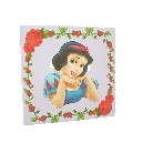 CUADRO PLOTTER MEDIANO BLANCANIEVES