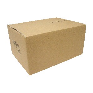 CAJA CARTON MARRON MEDIANA RECTANGULAR