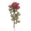 FLOR INDIVIDUAL PEONIA ROJO