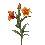FLOR TRIPLE HOJAS LILIUM ROJA