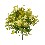 RAMO FLORES BOUQUET WILD AMARILLO