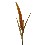 FLOR RAMA FROTH GRASS DORADO