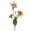 FLOR TRIPLE RUDBECHIA SPRAY BEIGE