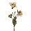 FLOR TRIPLE MARGARITA RUDBECKIA SPRAY BEIGE