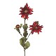 FLOR TRIPLE RUDBECHIA SPRAY ROJA