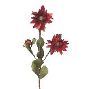 FLOR TRIPLE RUDBECHIA SPRAY ROJA