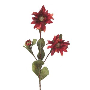 FLOR TRIPLE RUDBECHIA SPRAY ROJA