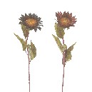 FLOR TELA GIRASOL SURTIDA