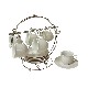 CONJUNTO SOPORTE CON 6 TAZAS CAFE