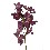 FLOR ORQUIDEA VANDA ORCHID VIOLETA