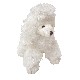 PELUCHE PEQUEÑO PERRITA CANICHE SURTIDO