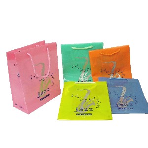 BOLSA PLASTICO PVC SURTIDA COLORES