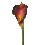 FLOR INDIVIDUAL CALA LILY ROJO GRANATE