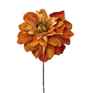 FLOR INDIVIDUAL DALIA MARRON