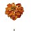 FLOR INDIVIDUAL DALIA MARRON
